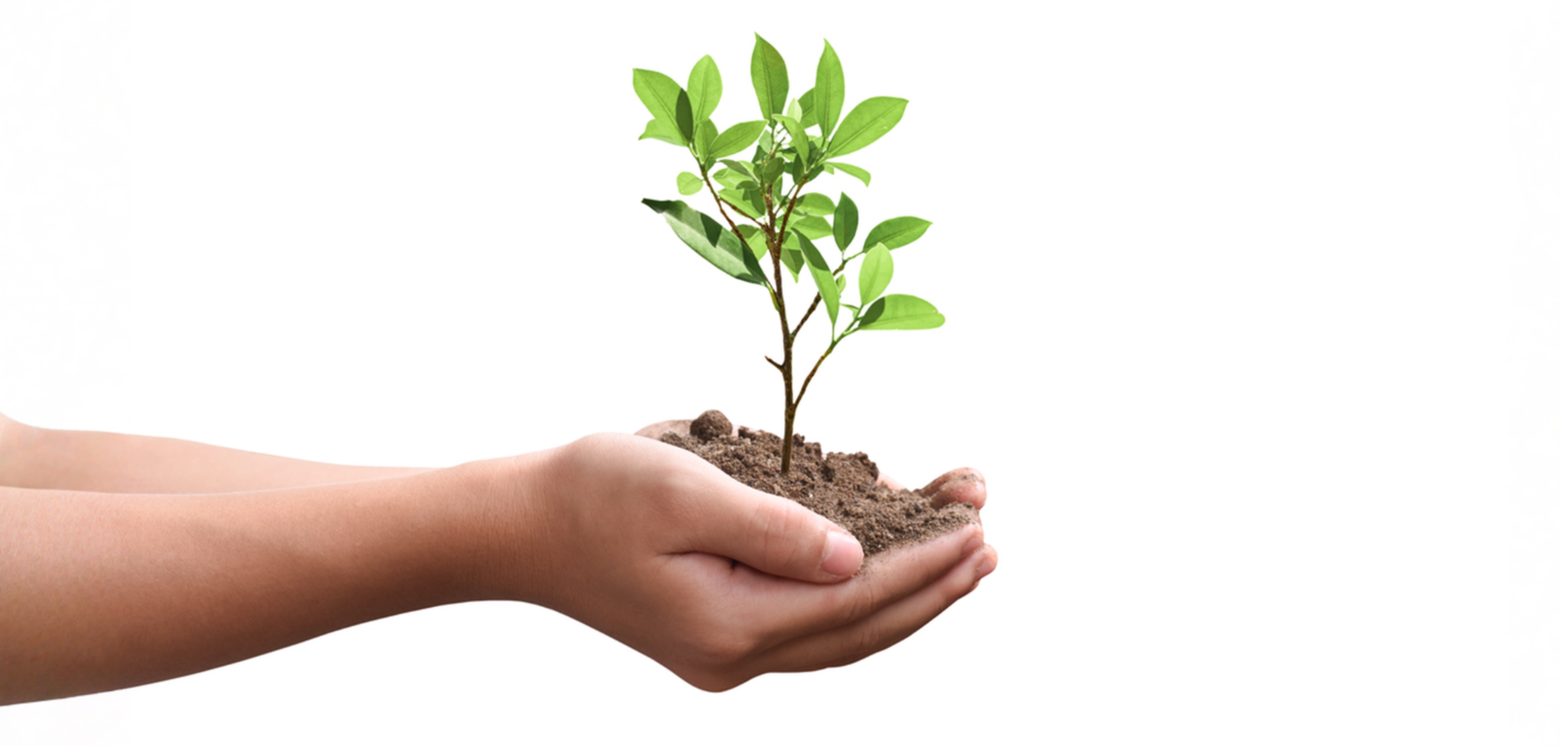 PITOP sustainability